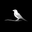 L’ATELIER NOIR logo